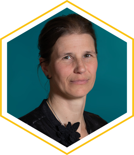 Ilja Brussel